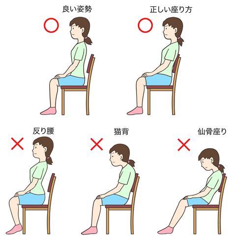 坐位|姿勢の定義と分類の再考